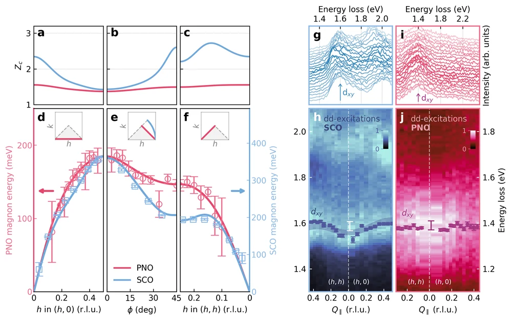 Spectroscopy results comparing excitation dispersions and energy-loss intensity maps.